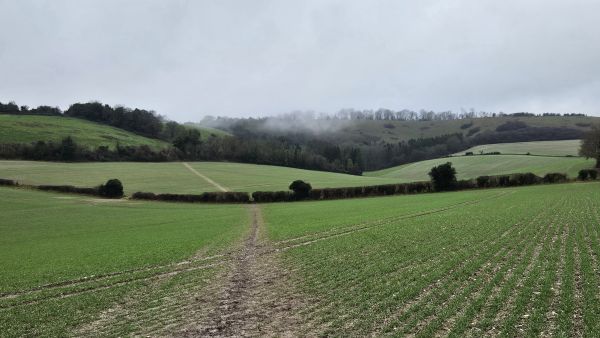 Lovely scenery